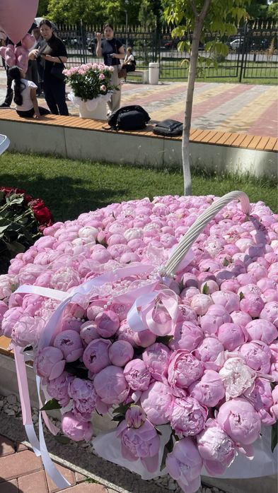 301 пионы свежые