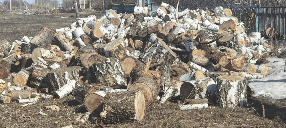 Продам дрова берёза