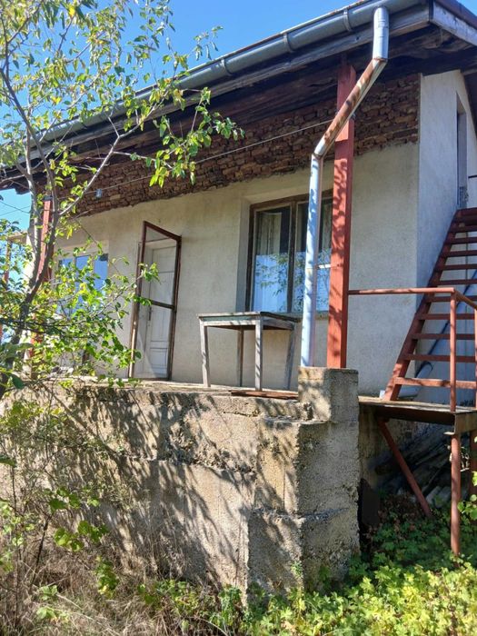 2бр. Вили в непосредствена близост.