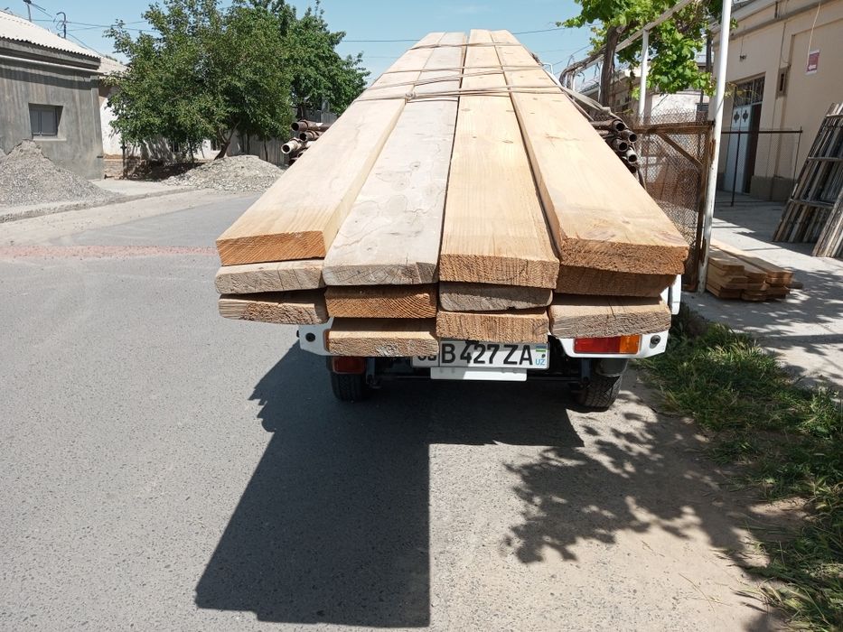 Пракат леса тахта адрес МОТРИД
