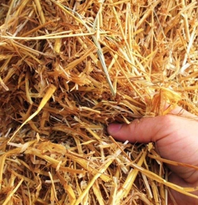 Baloți paie sau otavă