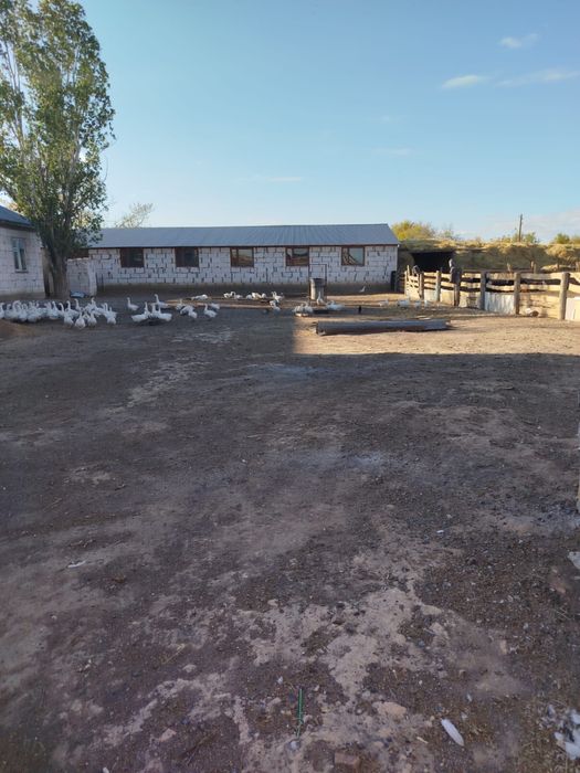 Продам дом срочно