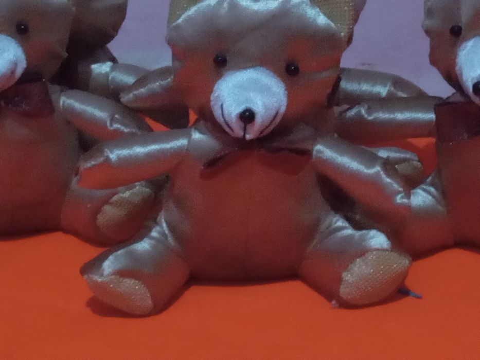 Ayiqcha chiroyli  bo‘yi 18 sm bo‘lgan yoqimtoy ayiqcha