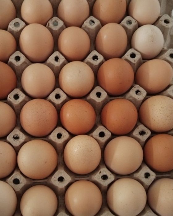 Ouă de casă de vânzare