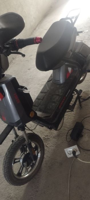 1oy minilgan holti idiyal