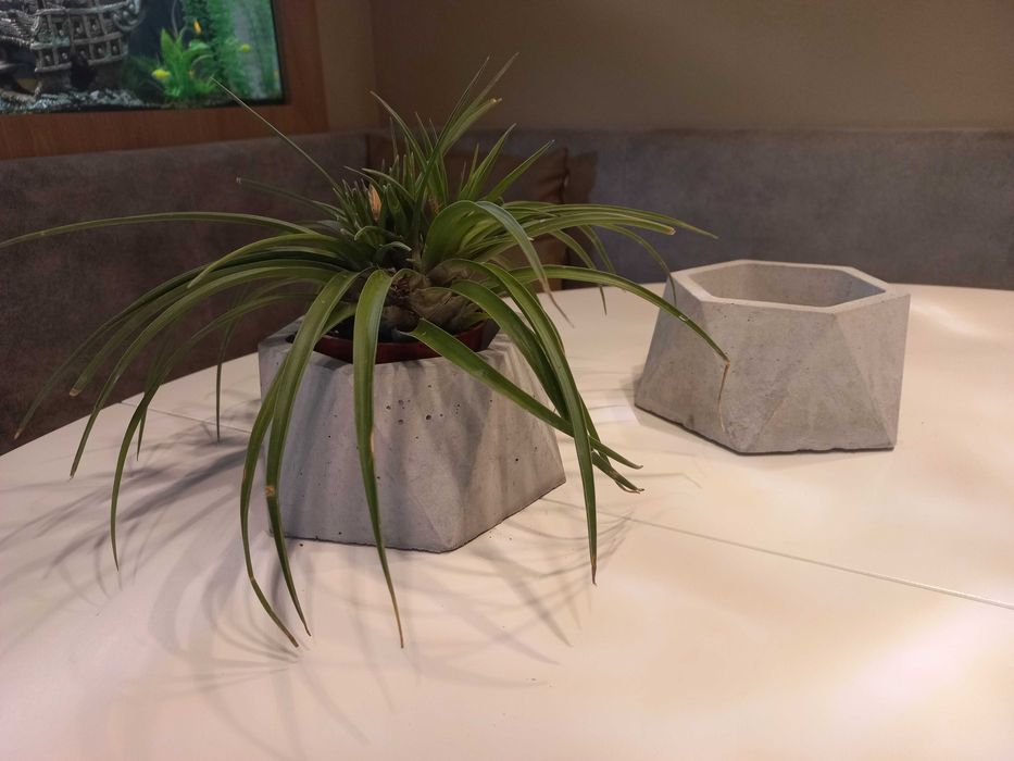 Хексагонална бетонова саксия