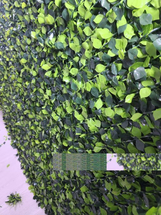 Yashil devor (zabor) — chet eldan keltirilgan, eng yuqori sifatda!