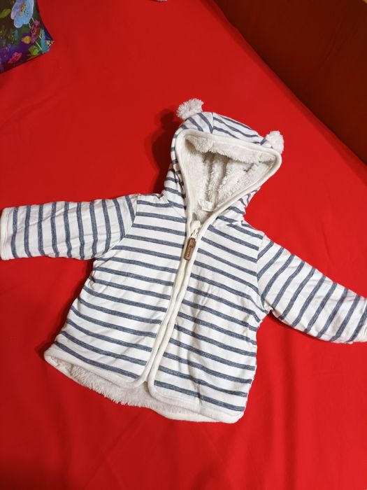 Gecuțe cu urechiușe