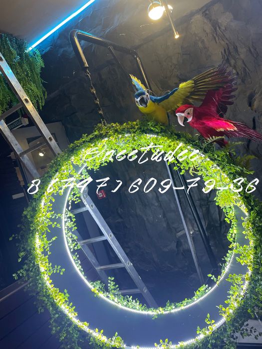 Декор стен зеленью Интерьерное озеленение