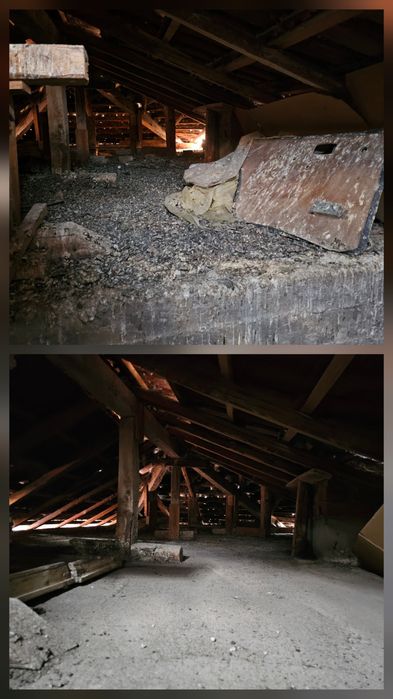 Почистване от гълъби Плевен