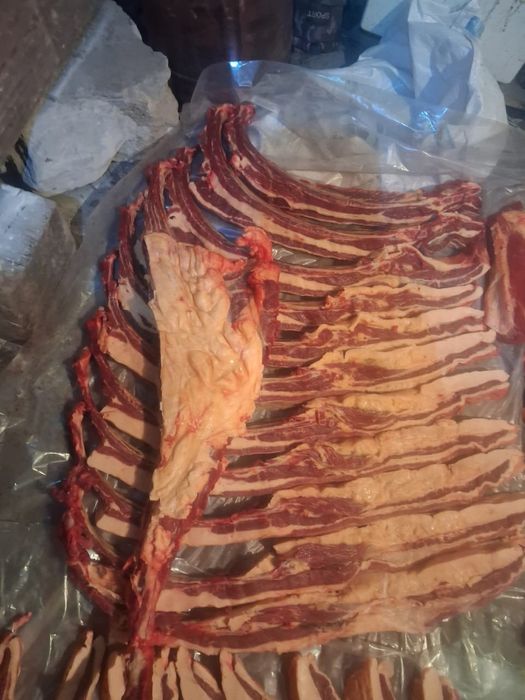 Продам согым бие с откорма