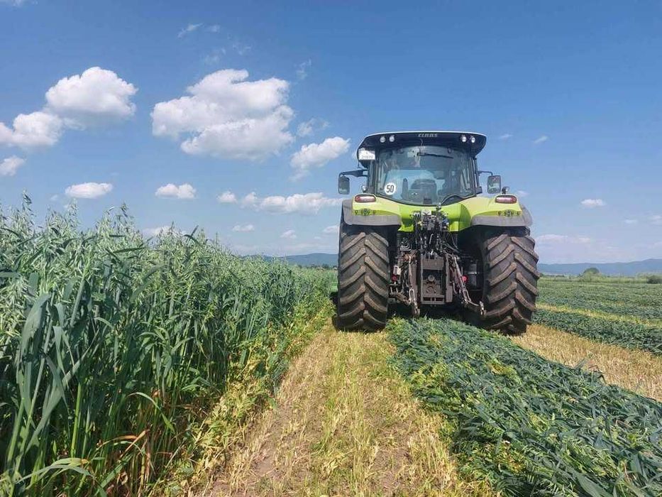 силаж грах+фий+овес