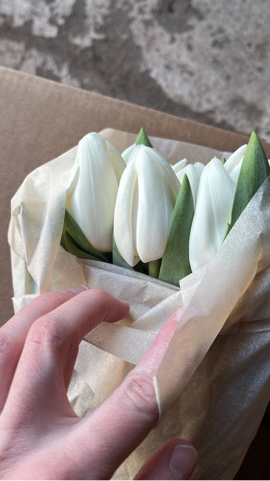 Беларусь тюльпаны премиум качество