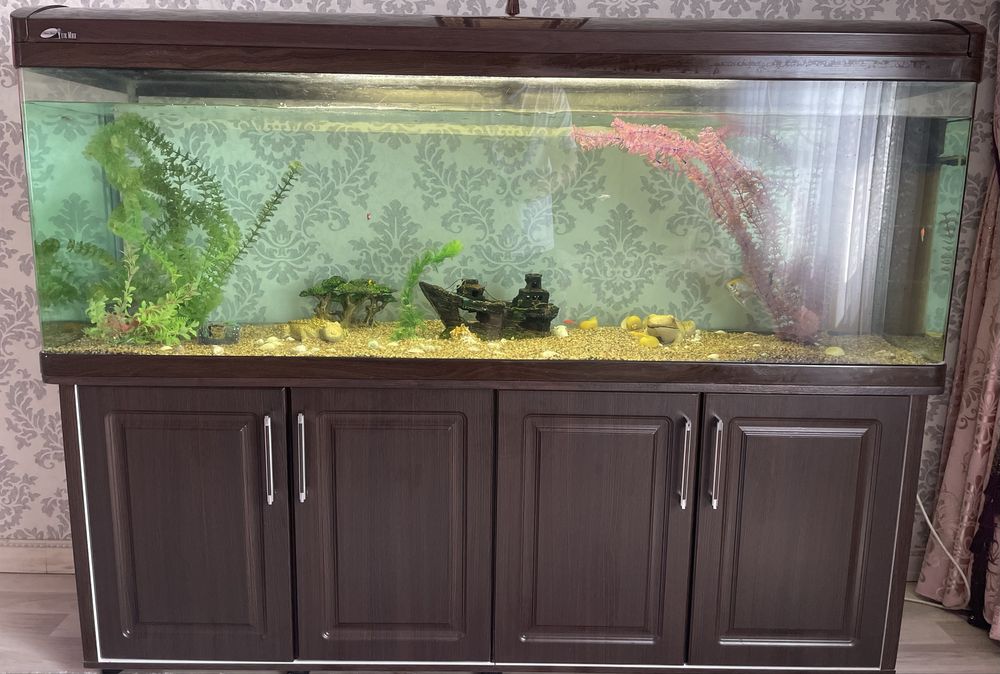 Акварюм 450л , с тумбой