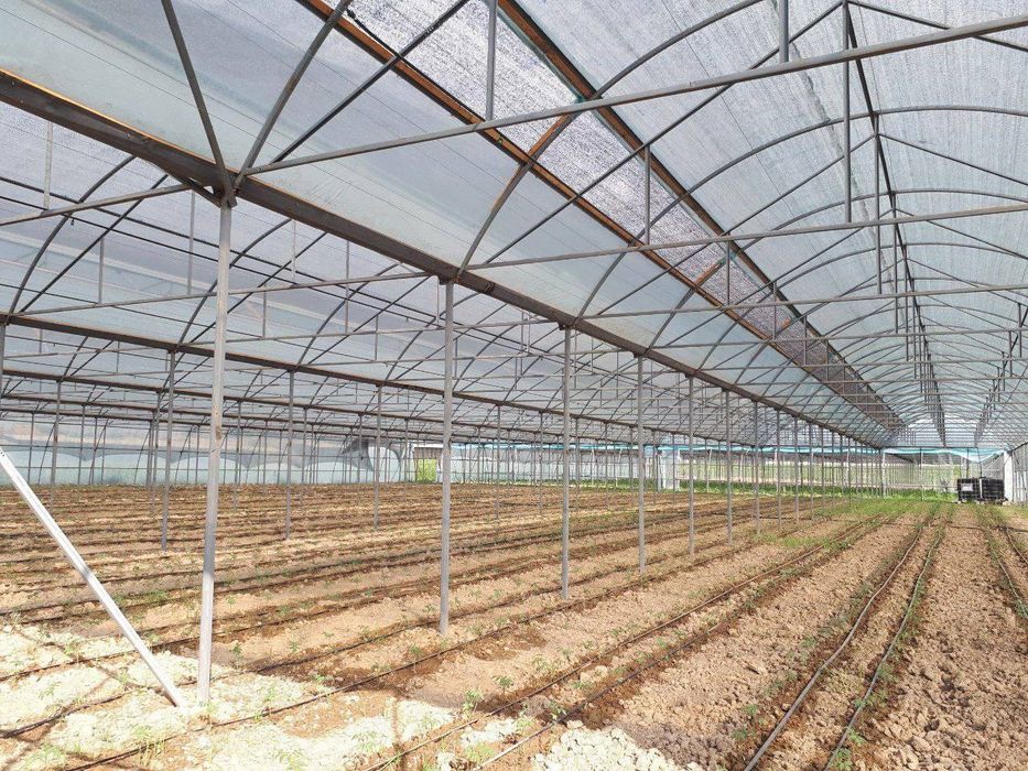 Issiqxona kantenerdan tom yopish noves