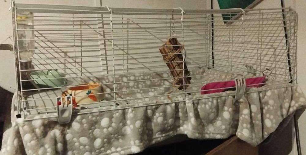 Голяма оборудвана клетка за гризачи (60х90 см) + аксесоари (Бургас)