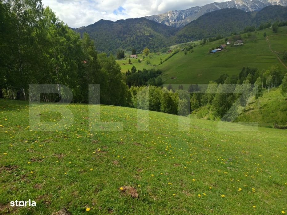 Constructie 95 mp + Teren 4.807 mp – Satul Pestera, Moieciu