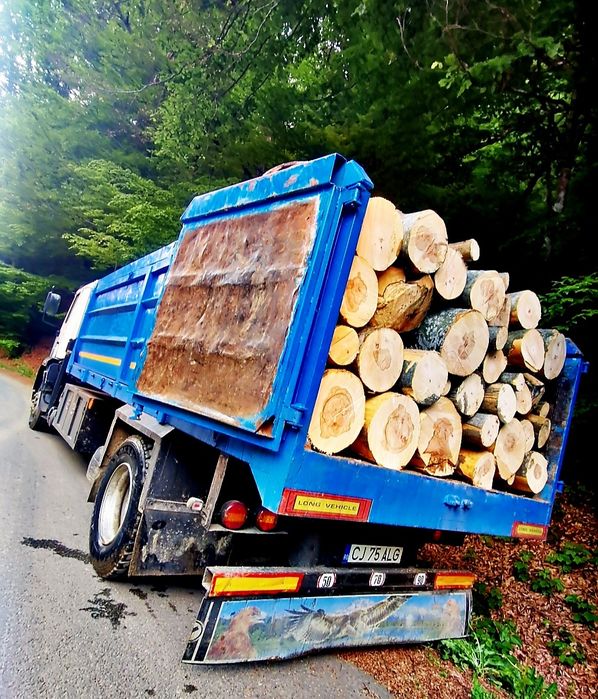 Lemn foc fag Transport