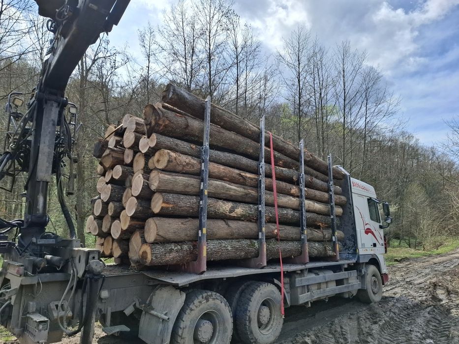 Lemn foc fag, transport inclus! Doar localitățile enumerate!tl