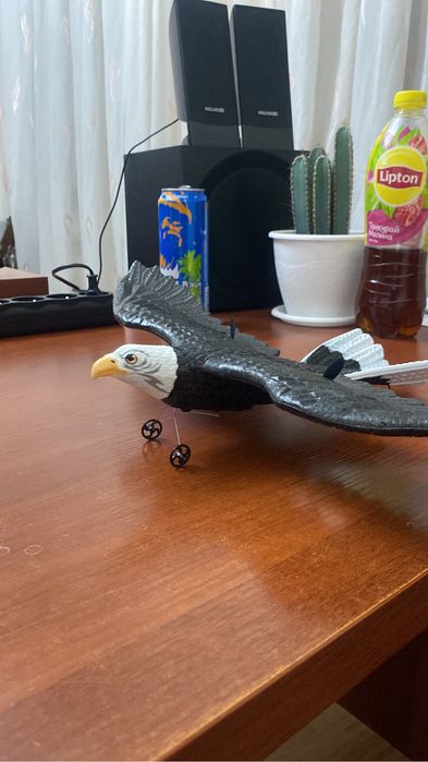 Игрушка самый популярный