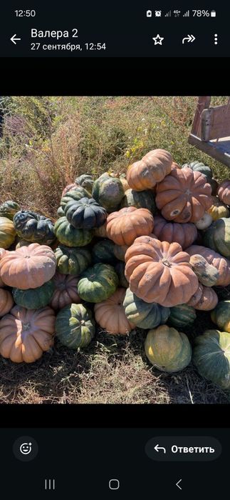 Тыква  на корм животным