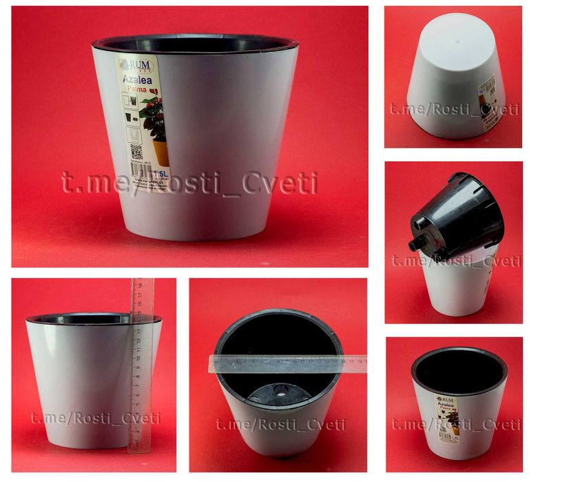 Продам комнатный цветок: Зацвевшую ГЛОКСИНЕЮ! - под пересадку.