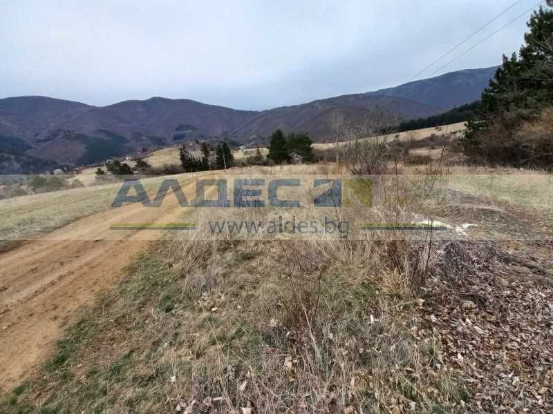 Поземлен имот до регулация в с. Кокаляне