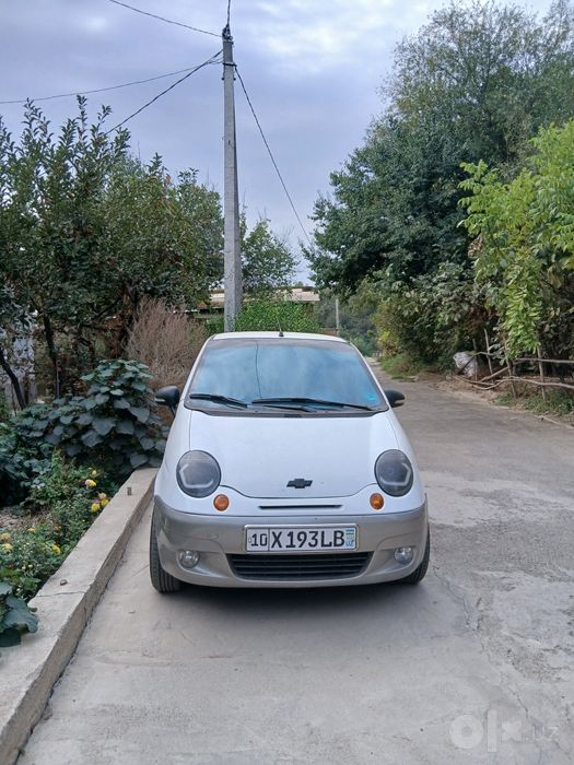 Moshina geni bilan