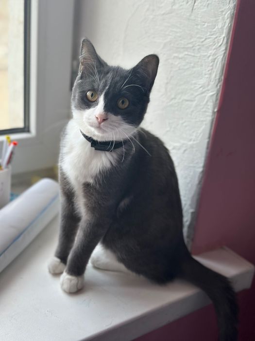 Отдадим милую девочку