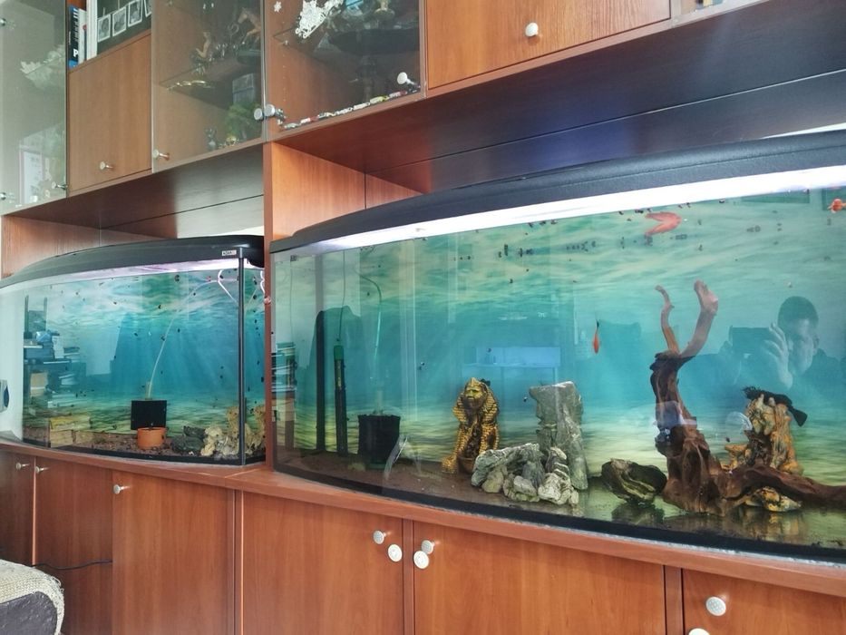 Комплект аквариуми