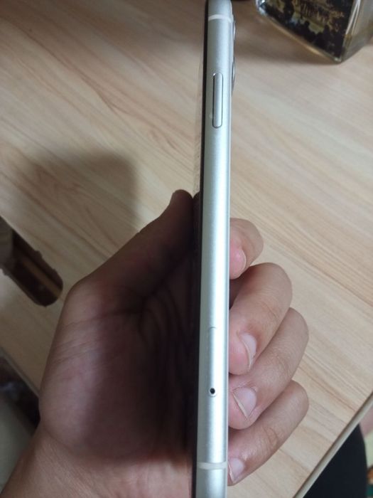 Iphone 11 hamma joyi radnoy