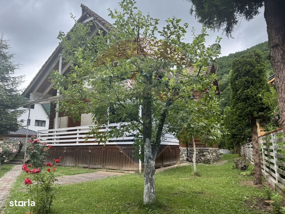 Cabana autentica de munte Frasinet - Baisoara 600 mp teren