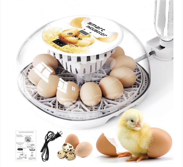 Incubator de oua