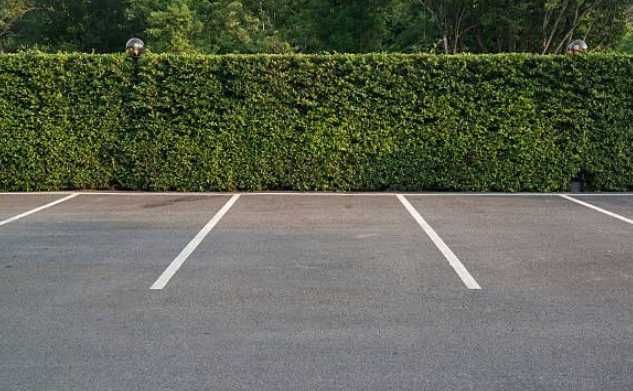 Продава се Двустаен апартамент в к.к. Св.Св. Константин и Елена - 52 кв.м за 1410 €/кв.м - Снимка #4