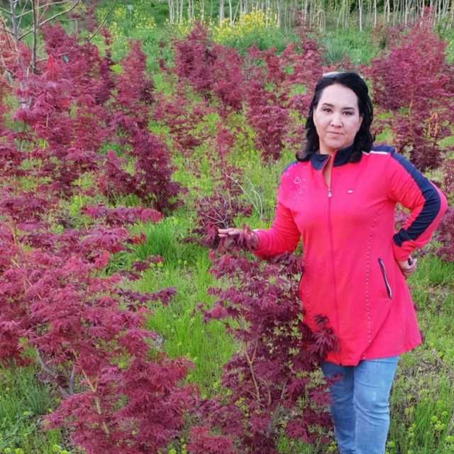 Питомник декоративных растений. Более 2000 видов земной флоры.