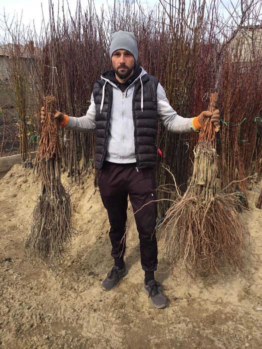 Butasi vita de vie!!!