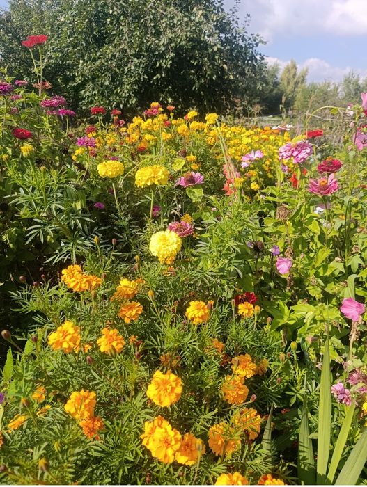 Продам дачу на правом берегу