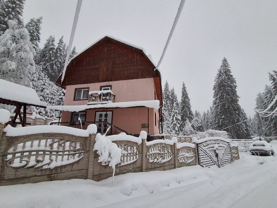 Cazare Arieseni Pensiunea Nicoleta