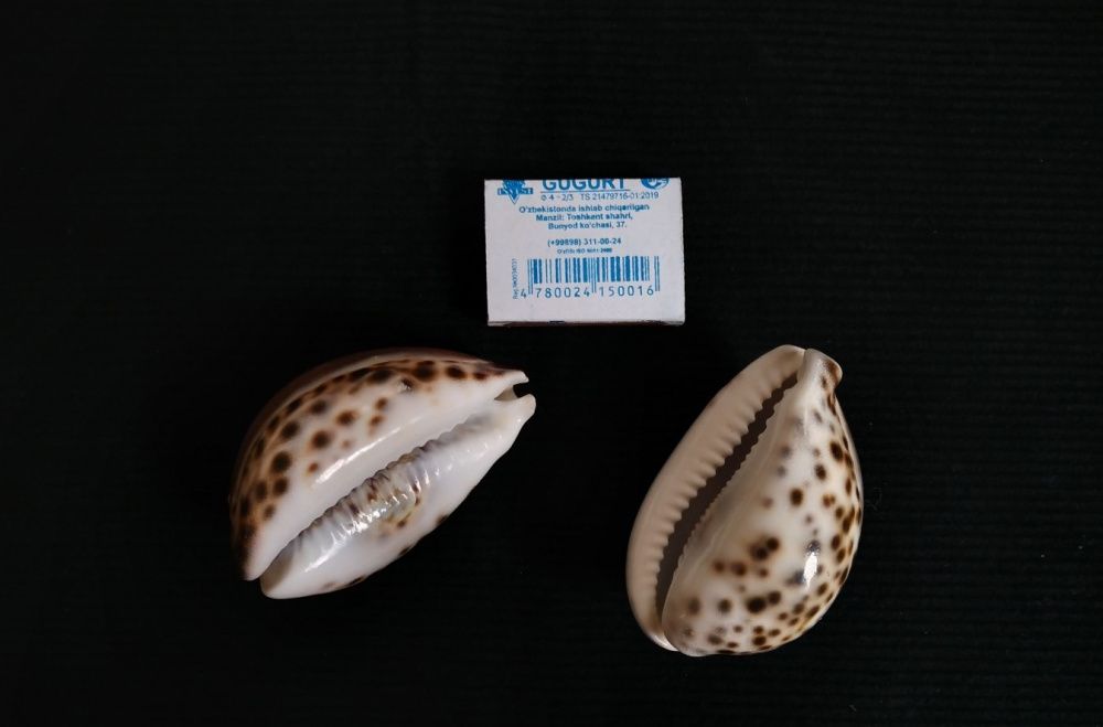 Андрей- именная ракушка в подарок близкому человеку!