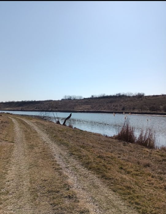 Teren de vanzare in Sat Walter Mărăcineanu ,Comuna Iepuresti