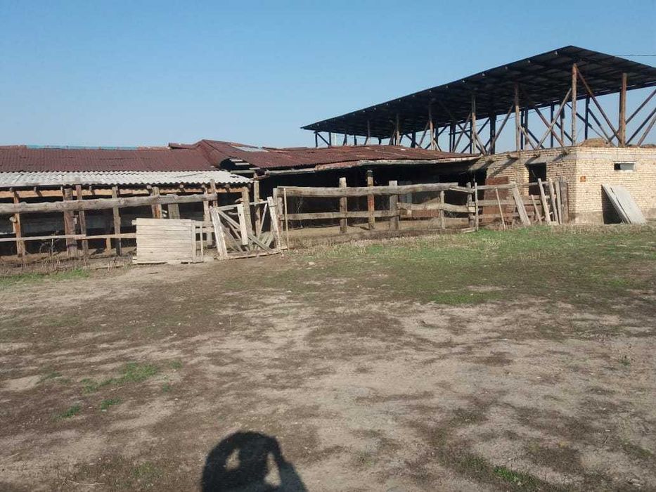 Сдам в аренду времянку