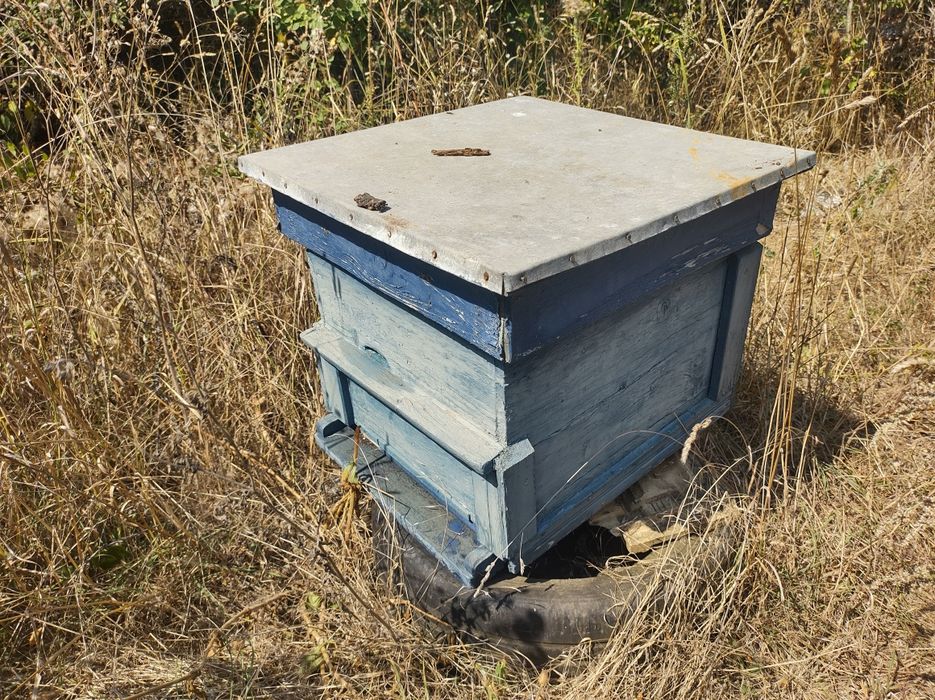 Кошери и магазини