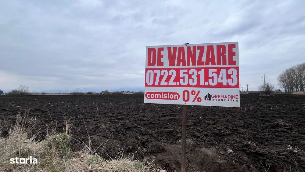 Teren 50000mp Extravilan-Intrare Halchiu-Cod 5235