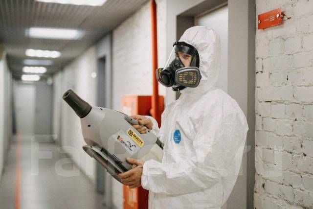 Дезинфекция Семей , клопы , блохи , осы,тараканы, паразиты