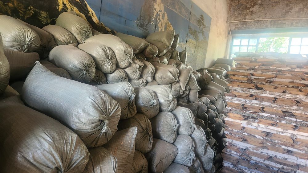 Опилки древесные