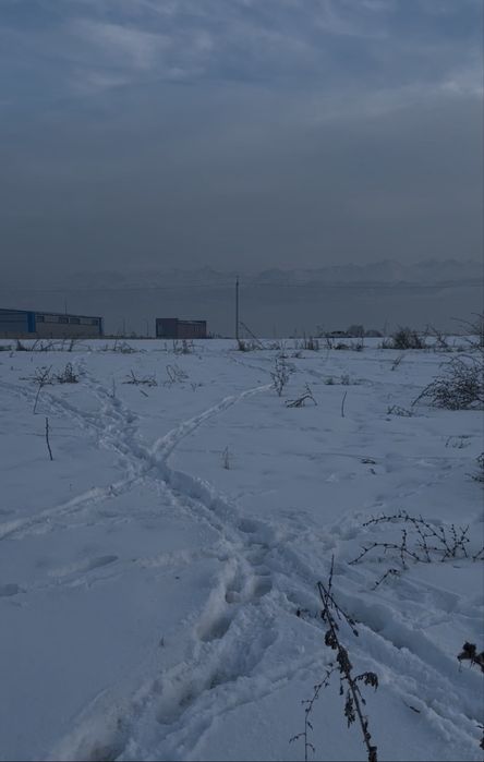 Қаскелеңнен тиімді бағада Зор участок