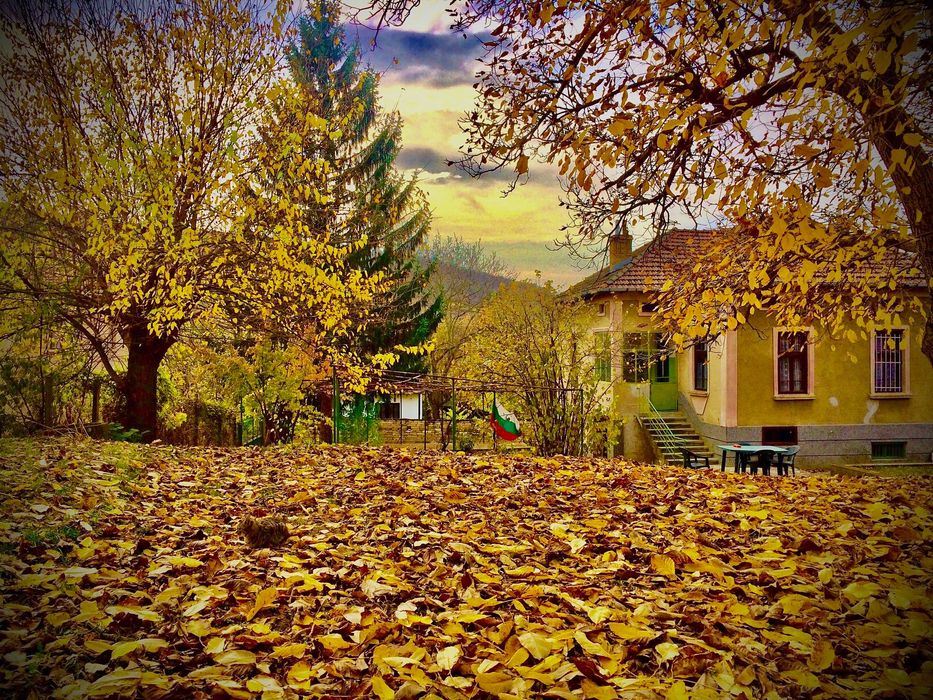 Продава се Къща в с. Румянцево, Област Ловеч - 150 кв.м за 527 €/кв.м - Снимка #15