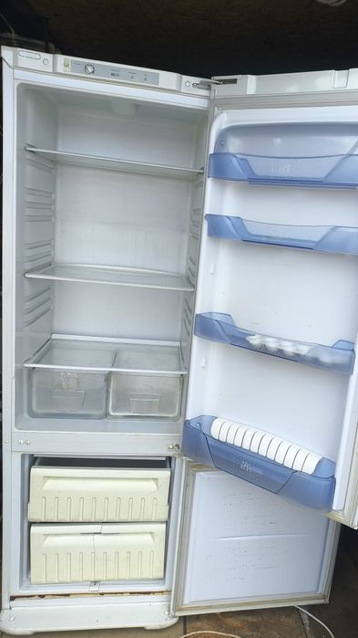 Бирюса высота 1,8м