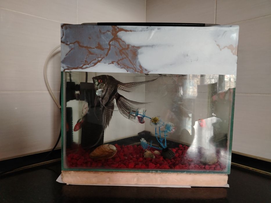 Аквариум сатылады