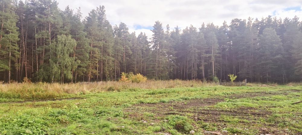 Участок в Лесхозе Буланды